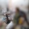 سرايا القدس تعرض مشاهد من حمم الهاون التي دكت بها جنود وآليات العدو المتوغلة جنوب مدينة رفح27-05-2024