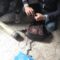 استهداف سرايا القدس وألوية الناصر صلاح الدين لمجموعة من جنود العدو تحصنت في مبنى بمخيم جباليا شمال قطاع غزة03-06-2024