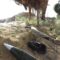 استهداف مقر قيادة العدو والقوات المتموضعة في محور نتساريم بصواريخ رجوم15-06-2024